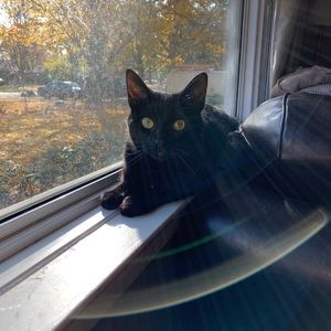 Meet your Posher, Claire